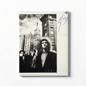 Cuadro Doble Vida - Soda Stereo